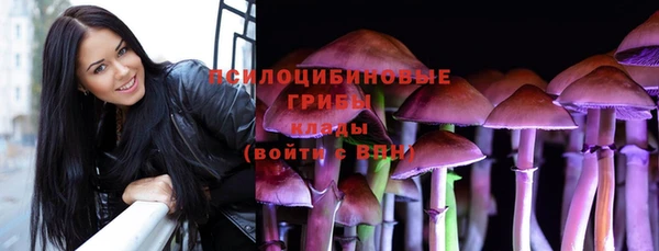хмурый Козельск