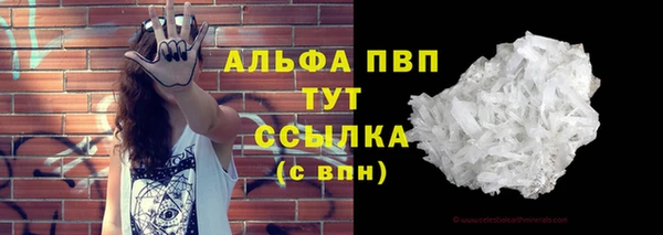 хмурый Козельск