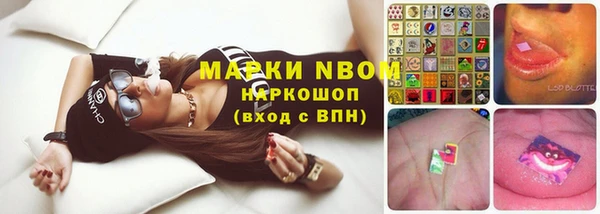 таблы Козловка