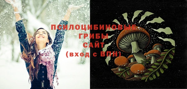 хмурый Козельск