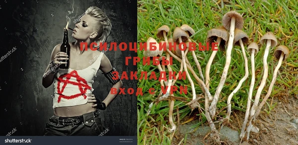 кокс Кодинск