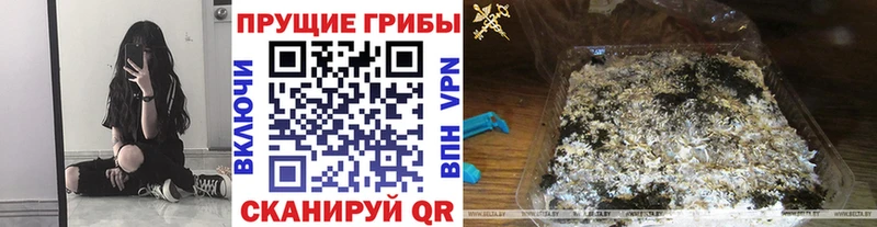 Галлюциногенные грибы ЛСД  Купить  Зубцов 